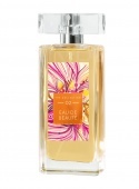 The Collection Eau de Beauté